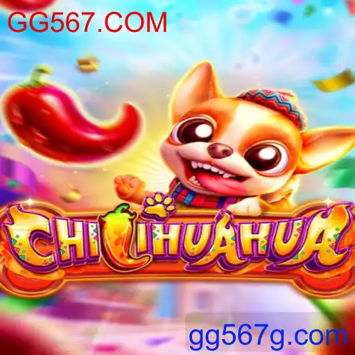 CHILIHUAHUA